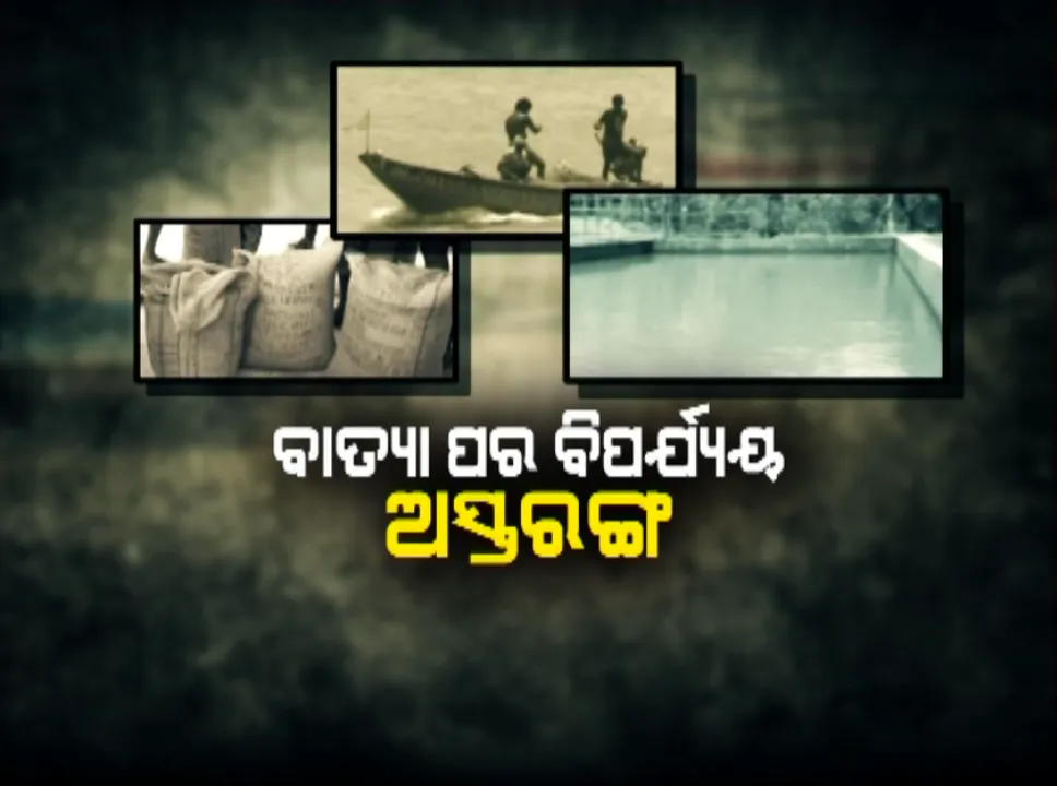 ବାତ୍ୟା ପରେ ଏବେ ଘରସଜାଡ ବେଳ । ଏବେବି ଘର ଉପରେ ପଡିରହିଛି ବଡବଡ ଗଛ, ସମସ୍ୟା ଘେରରେ ବାତ୍ୟା ବିପନ୍ନ