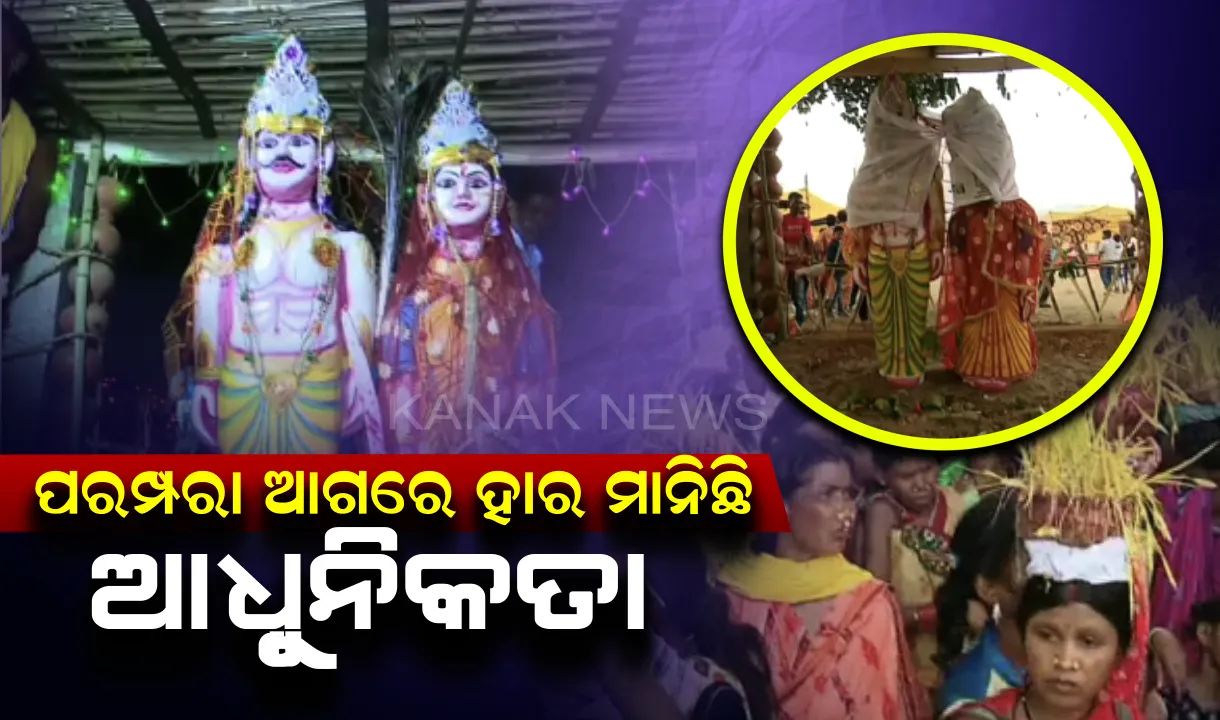  ଗାଁର ପରମ୍ପରା ଆଗରେ ହାର ମାନୁଛି ସହରର ଆଧୁନିକତା। ସଂପର୍କ ଯୋଡୁଛି କାଠ କଣ୍ଡେଇର ବାହାଘର। ଆଜି ବି ବଞ୍ଚି ରହିଛି ଏକତା