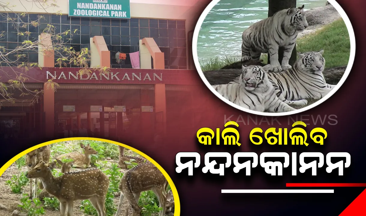  ପର୍ଯ୍ୟଟକଙ୍କ ପାଇଁ ଖୁସି ଖବର : ଆସନ୍ତା କାଲିଠାରୁ ଖୋଲିବ ପ୍ରାଣୀ ଉଦ୍ୟାନ ‘ନନ୍ଦନକାନନ’, ବୈଷୟିକ କମିଟିର ପରିଦର୍ଶନ ପରେ ନିଷ୍ପତ୍ତି
