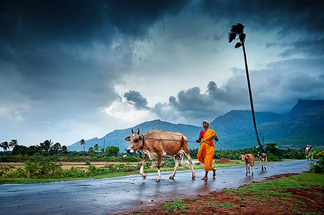  ସଅଳ ଆସିବ ମୌସୁମୀ । ଜୁନ୍ ୧୦ ତାରିଖରେ ଛୁଇଁବ ଓଡିଶା ।