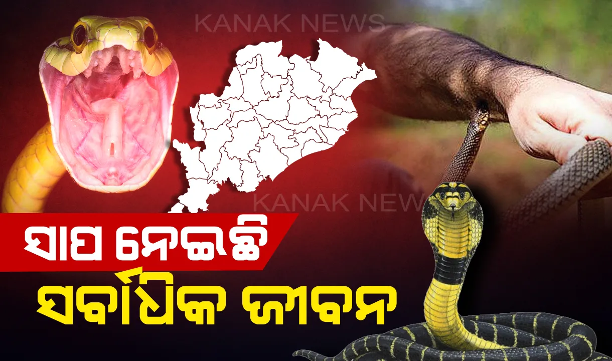  ବଜ୍ରାଘାତ, ସର୍ପାଘାତ ଓ ପାଣିରେ ବୁଡି ଯାଇଛି ସର୍ବାଧିକ ଜୀବନ: ୩ ବର୍ଷରେ କେଉଁଠି କେତେ ଜଣଙ୍କ ମୃତ୍ୟୁ ହୋଇଛି ପଢନ୍ତୁ...