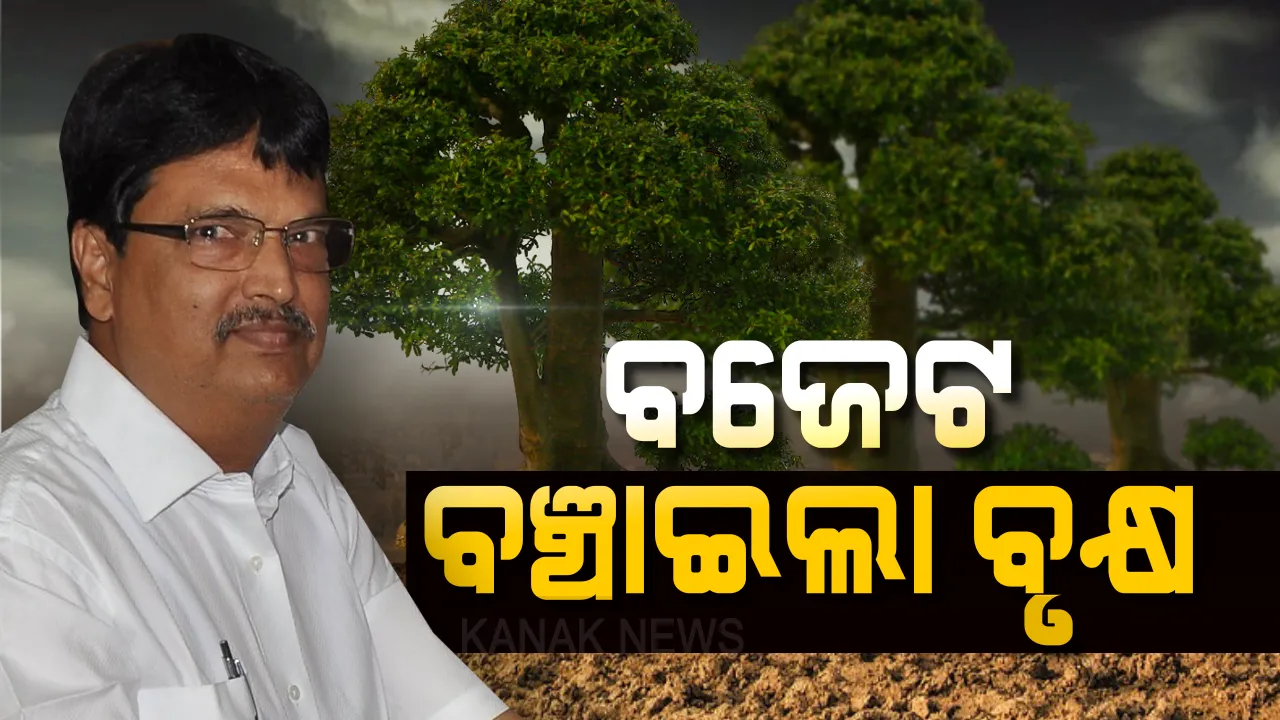  ମୁଦ୍ରଣ କମିଲା, ଗଛ ବଞ୍ଚିଲା: ୫୦୦ ସେଟରୁ ୨୦୦କୁ ହ୍ରାସ ହେଲା ବଜେଟ ପୁସ୍ତିକା, ଇଲେକ୍ଟ୍ରୋନିକ୍ସ ମାଧ୍ୟମକୁ ଗୁରୁତ୍ୱ