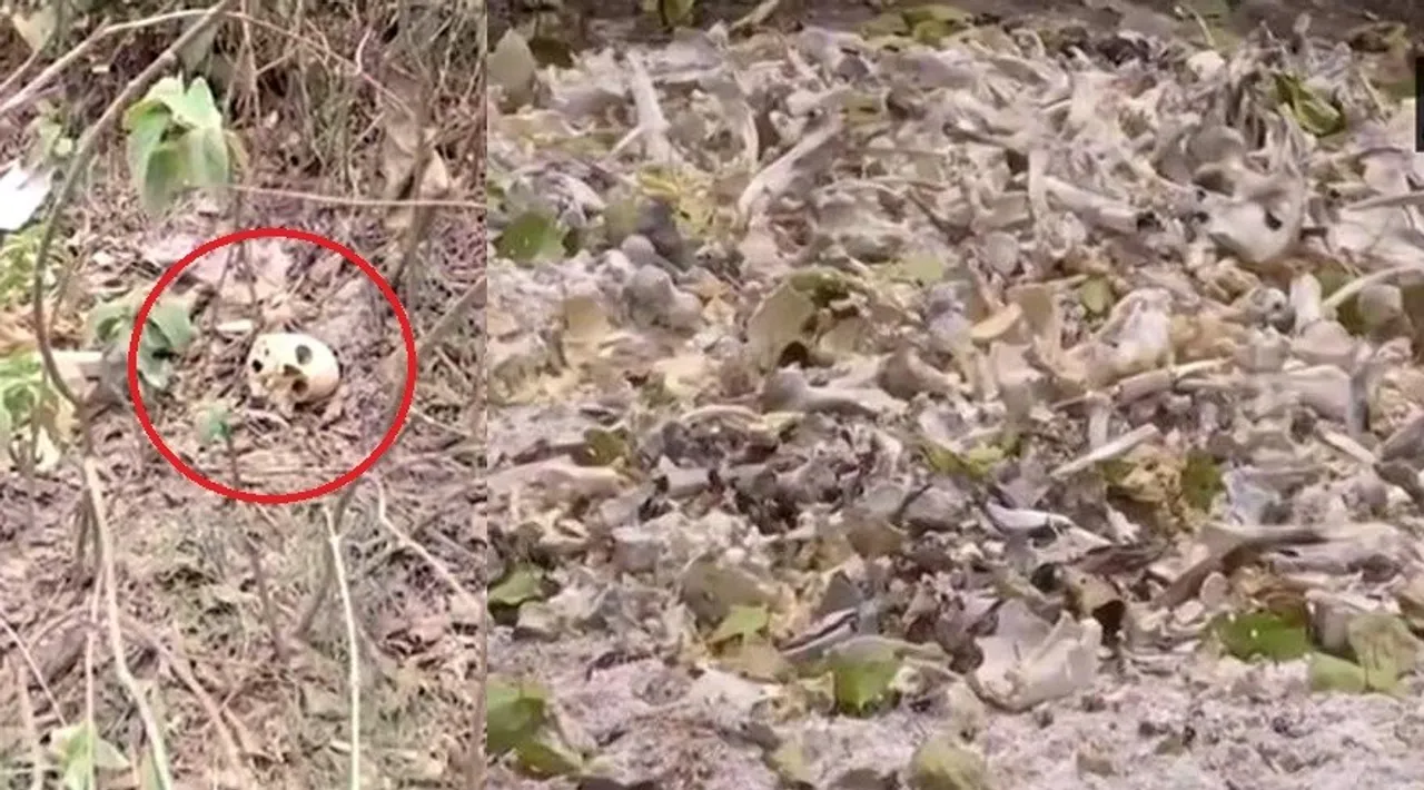  ମୁଜଫରପୁରର ଯେଉଁ ହସ୍ପିଟାଲ୍ ରେ ଜୀବନ ହରାଇଥିଲେ ୧୬୫ ଶିଶୁ , ସେଠାରୁ ମିଳିଲା ନରକଙ୍କାଳ ! ତୁରନ୍ତ ଜାଞ୍ଚ୍ ପାଇଁ ମିଳିଲା ଆଦେଶ