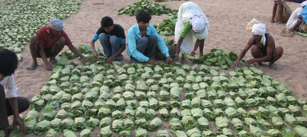  କେନ୍ଦୁପତ୍ର ତୋଳାଳୀ ଓ ଶ୍ରମିକଙ୍କୁ ୨୨୨ କୋଟି ଟଙ୍କାର ବୋନସ୍, ଘୋଷଣା କଲେ ମୁଖ୍ୟମନ୍ତ୍ରୀ ।