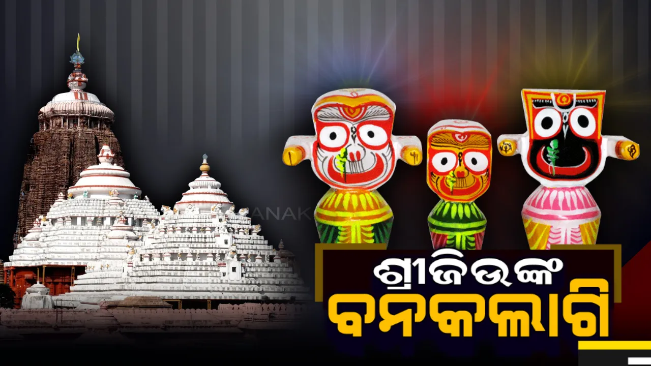  ଶ୍ରୀଜୀଉ ସୁସ୍ଥ, ଆଜି ବନକଲାଗି ନୀତି: ଅଣସର ପରେ କାଲି ନବଯୌବନ ବେଶରେ ଭକ୍ତଙ୍କୁ ଦର୍ଶନ ଦେବେ ମହାପ୍ରଭୁ