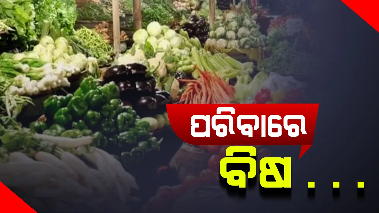  ଟଙ୍କା ଖର୍ଚ୍ଚ କରି ବିଷ କିଣୁଛନ୍ତି ରାଜଧାନୀବାସୀ : ଦିଲ୍ଲୀ ବଜାରରେ ମିଳୁଥିବା ସବୁଜ ପରିବାରେ ରହିଛି ବିଷାକ୍ତ ତତ୍ତ୍ୱ