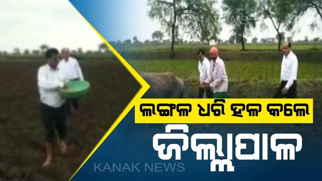  ଜୋତାମୋଜା ଖୋଲି ଜମିରେ ଚାଷ କଲେ ଜିଲ୍ଲାପାଳ : ହଳ ଚଳାଇବା ସହ ବିହନ ବୁଣିଲେ ବଡ଼ ବାବୁ