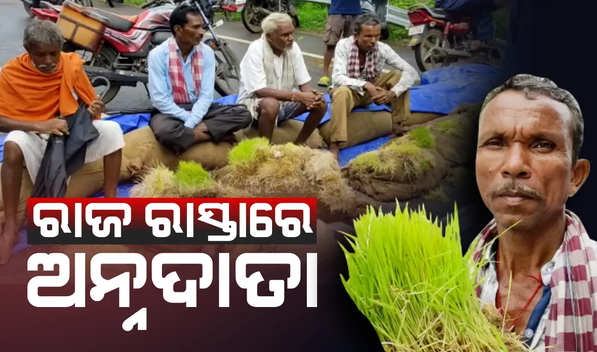  ମଣ୍ଡିରୁ ଉଠୁନି ଧାନ, ବସ୍ତାରେ ହେଲାଣି ଗଜା। ତୁରନ୍ତ ଉଠାଇବା ଦାବିରେ କଳାହାଣ୍ଡିରେ ରାସ୍ତାକୁ ଓହ୍ଲାଇଲେ ଚାଷୀ