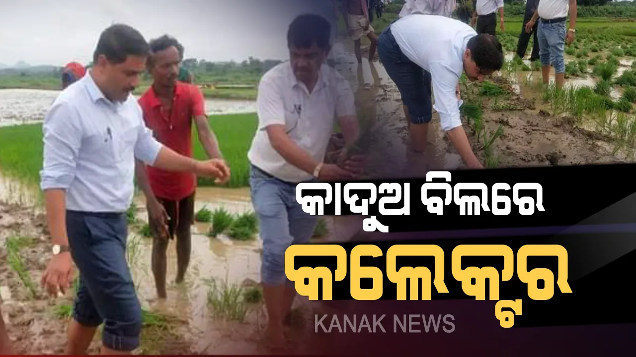  କୃଷକ ସାଜିଲେ କଲେକ୍ଟର: ବିଲକୁ ଗଲେ, ଧାନ ରୋଇଲେ ଗଞ୍ଜାମ ଜିଲ୍ଲାପାଳ