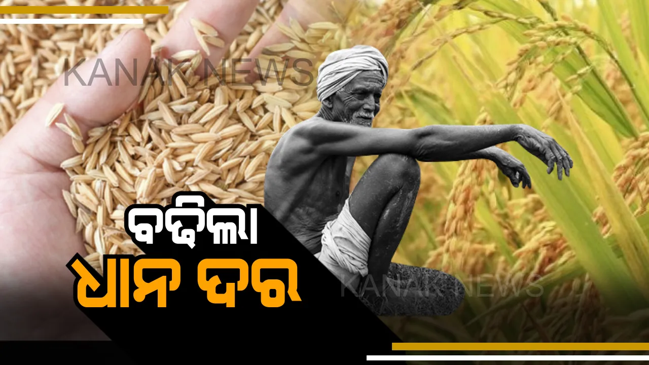  ଚାଷୀଙ୍କୁ କେନ୍ଦ୍ର ସରକାରଙ୍କ ଭେଟି । ବଢିଲା ଧାନର ଦର, ଜାଣନ୍ତୁ ଏଣିକି କ୍ୱିଣ୍ଟାଲ ପିଛା ସର୍ବନିମ୍ନ କେତେ ଟଙ୍କାରେ ଧାନ ବିକିପାରିବେ ଚାଷୀ ।