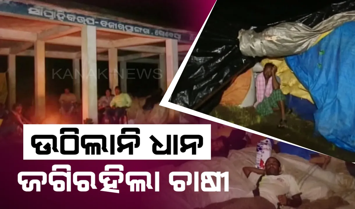 ୱେବସାଇଟ ବନ୍ଦ କାରଣରୁ ଧାନ ବିକ୍ରି ବନ୍ଦ । ମଣ୍ଡିରେ ପଡି ରହିଲା ୧୧ହଜାର କ୍ୱିଂଟାଲରୁ ଅଧିକ ଧାନ : ମିଲରକୁ ମିଳିଲାନି ଟ୍ରାନ୍ସପୋର୍ଟ ପାସ୍