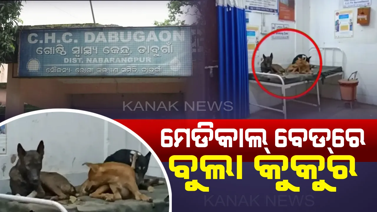  ଡାକ୍ତରଖାନା ବେଡ ଉପରେ କୁକୁର ! ବେଡ ଅଭାବରୁ ତଳେ ଶୋଇ ଚିକିତ୍ସିତ ହେଉଛନ୍ତି ରୋଗୀ