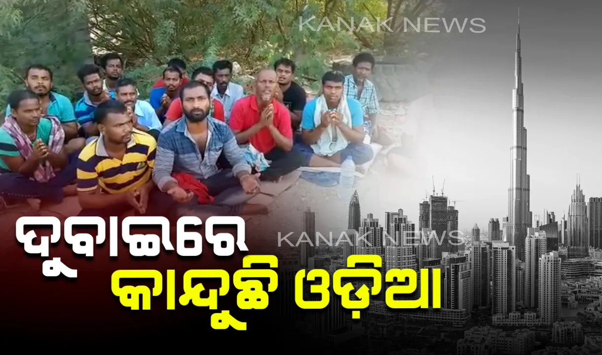  ଦୁବାଇ ଜଙ୍ଗଲ, ଦେଉଛି ଯନ୍ତ୍ରଣା: ୪ ଦିନ ହେବ ଭୋକ ଉପାସରେ ଫସିରହିଛନ୍ତି ୧୮ ଓଡ଼ିଆ ଶ୍ରମିକ, ଘରକୁ ଫେରିବା ପାଇଁ ଭିଡ଼ିଓ ଜରିଆରେ କଲେ ଗୁହାରି ।