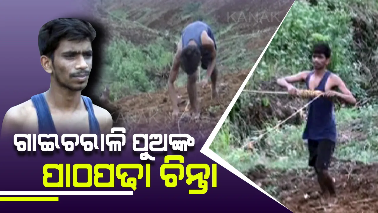  ପାଖରେ ଅର୍ଥ ନାହିଁ ହେଲେ ଆଖିରେ ଅସୁମାରୀ ସ୍ୱପ୍ନ : ଯୁକ୍ତ ଦୁଇରେ ରାୟଗଡା ସ୍ୱୟଂଶାସିତ କଲେଜରେ ପ୍ରଥମ ସ୍ଥାନ ଅଧିକାର ପରେ ସଦାନନ୍ଦଙ୍କ ପାଠପଢାରେ ପଡ଼ିଛି ଡୋରି