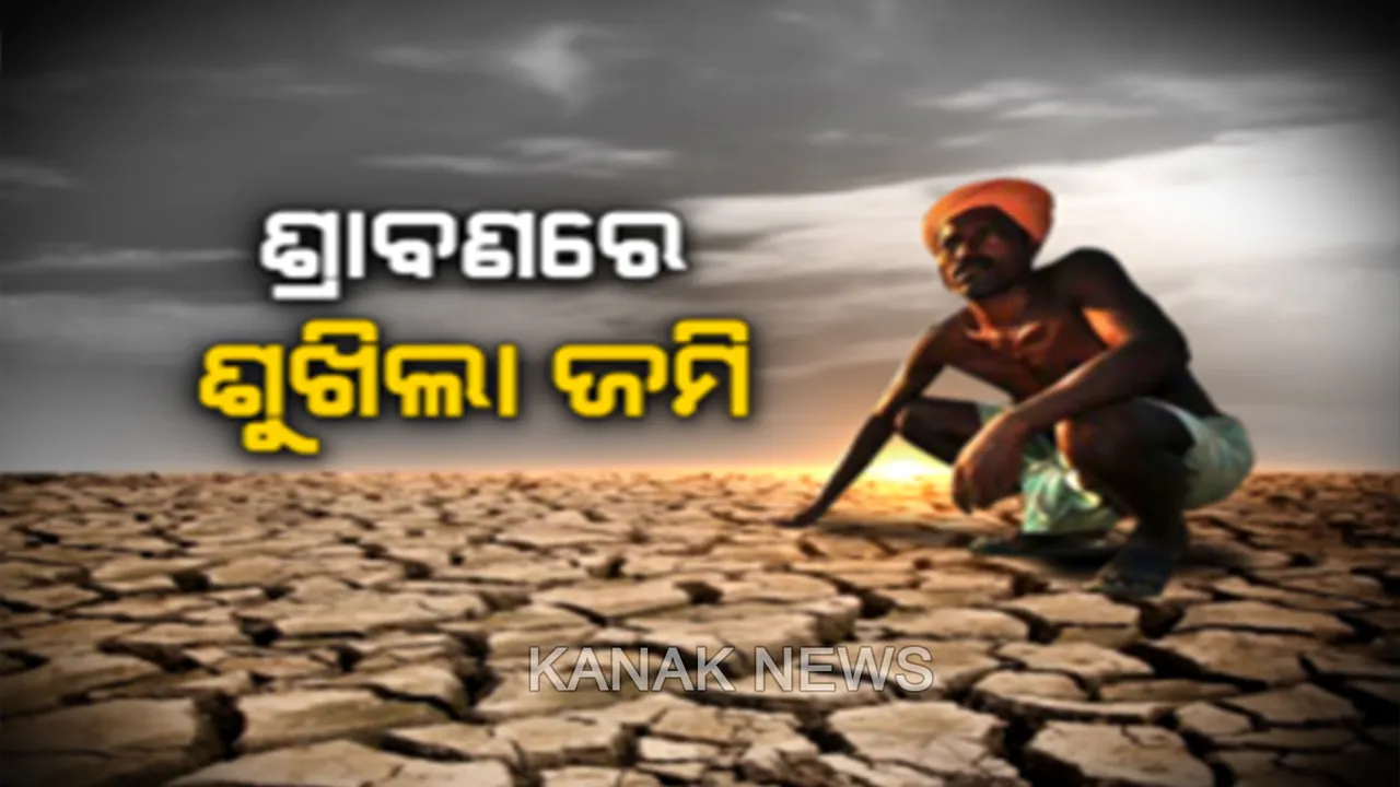  ଆଷାଢ଼ ଯାଇ ଶ୍ରାବଣ ଚାଲିଲା, ହେଲେ ମିଳିଲାନି ବର୍ଷାର ଦେଖା...ବର୍ଷା ପାଇଁ ଆକାଶକୁ ଚାହିଁ ରହିଛି ଚାଷୀ