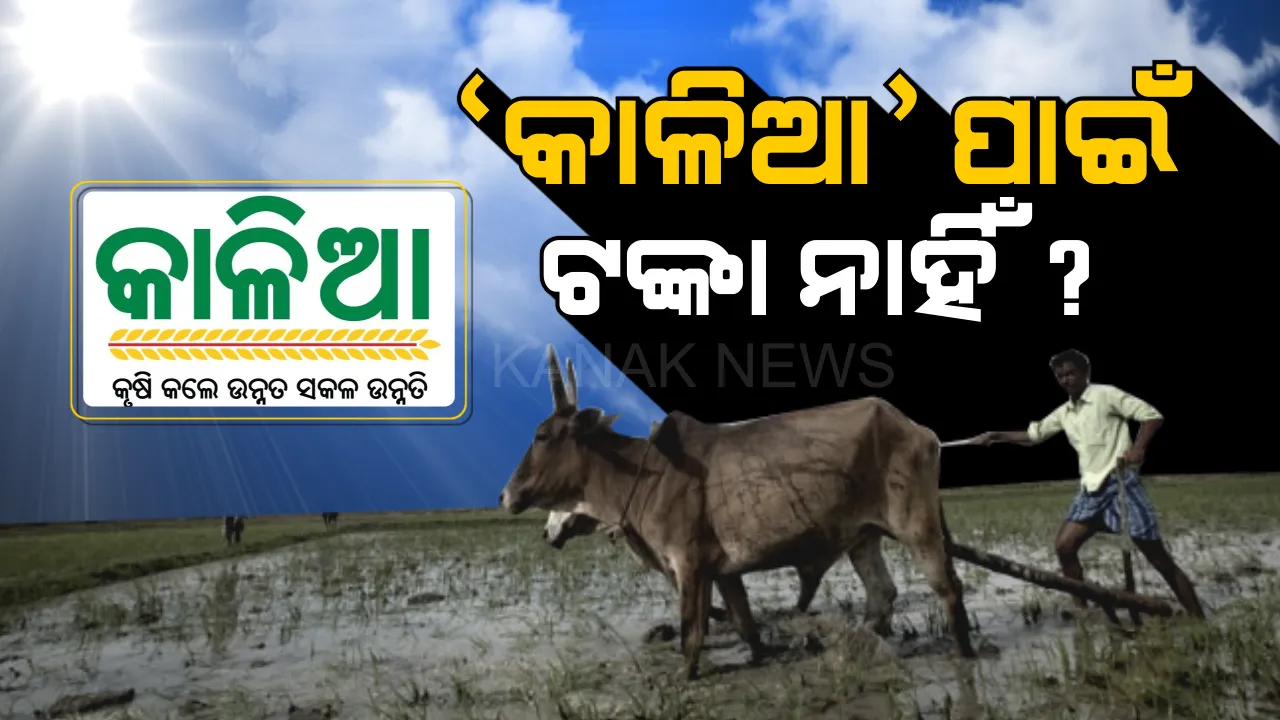  ‘କାଳିଆ’କୁ କୋଳେଇ ନିଅ...! କେନ୍ଦ୍ର-ରାଜ୍ୟ ଯୋଡି ହେଉଥିଲେ, ଏବେ ଯୋଜନା ଯୋଡିବାକୁ ବିଜେଡିର ପ୍ରସ୍ତାବ ?
