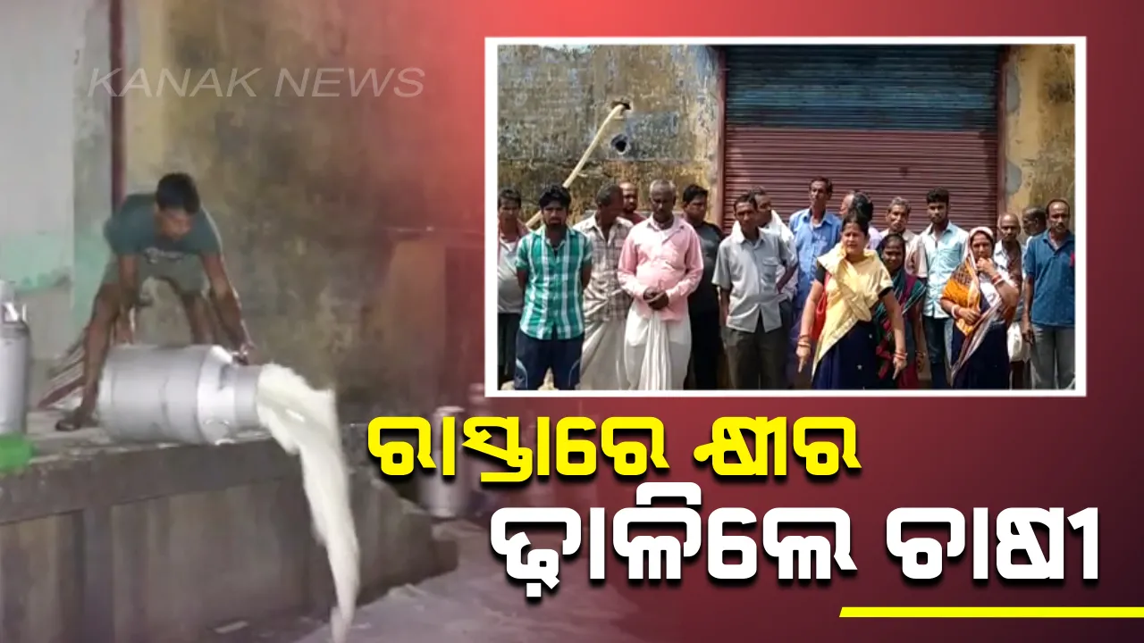  ଭଦ୍ରକ ବାସୁଦେବପୁରରେ ଓମଫେଡ କ୍ଷୀର ନନେବାରୁ ରାସ୍ତାରେ ଢ଼ାଳିଲେ ଚାଷୀ : ସଂଗ୍ରହ କେନ୍ଦ୍ରରେ ପକାଇଲେ ତାଲା