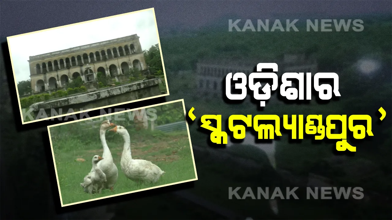  ଓଡିଶାରେ ଅଛି ସ୍କଟଲ୍ୟାଣ୍ଡପୁର: ଆପଣ ଗଲେଣି କି ? ତାହାଲେ ଜାଣନ୍ତୁ ଆଉ ଯାଆନ୍ତୁ ଦେଶୀ ରାଜ୍ୟରେ ଥିବା ଏହି ବିଦେଶୀ ଗାଁକୁ...