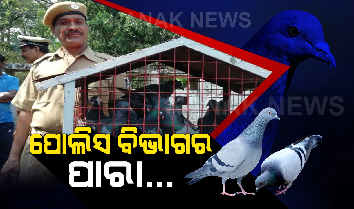  ଇଣ୍ଟରନେଟ ଯୁଗରେ ମଧ୍ୟ ବନ୍ଦ ହେବନି ଓଡ଼ିଶା ପୋଲିସର ପାରା ଡାକ ସେବା । ପ୍ରତିଶୃତି ଦେଲେ ସରକାର, ଜାଣନ୍ତୁ ବିଶ୍ୱର ଏକମାତ୍ର ପାରା ଡାକସେବା ବିଷୟରେ କିଛି ।