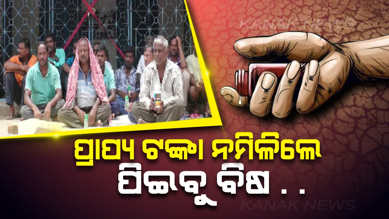  ୫ ମାସ ହେଲା ମିଳିନି ଧାନବିକା ଟଙ୍କା : ବିଷ ବୋତଲ ଧରି ଧାରଣାରେ ଚାଷୀ