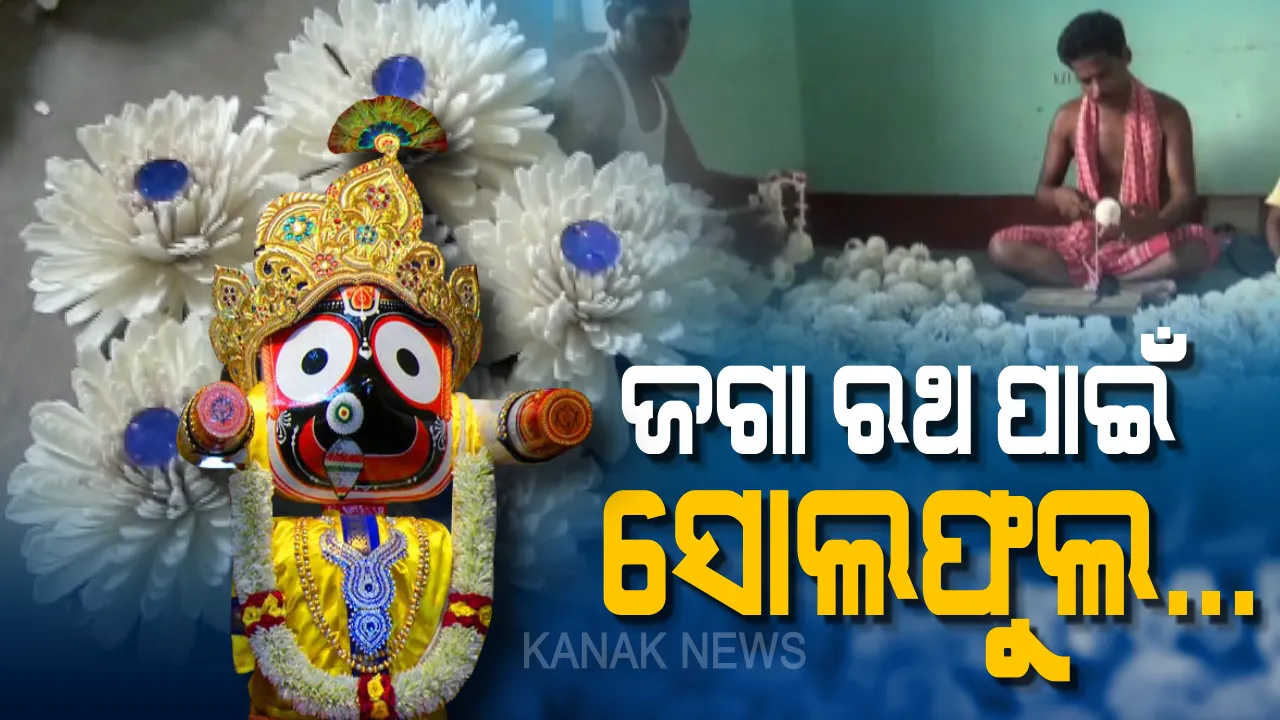  ଆସୁଛି ଘୋଷ ଯାତ୍ରା, ଚଳଚଞ୍ଚଳ ଶ୍ରୀକ୍ଷେତ୍ର। ଶ୍ରୀଜିଉଙ୍କ ରଥ ପାଇଁ ସୋଲଫୁଲ ତିଆରିରେ ବ୍ୟସ୍ତ କାରିଗର ।