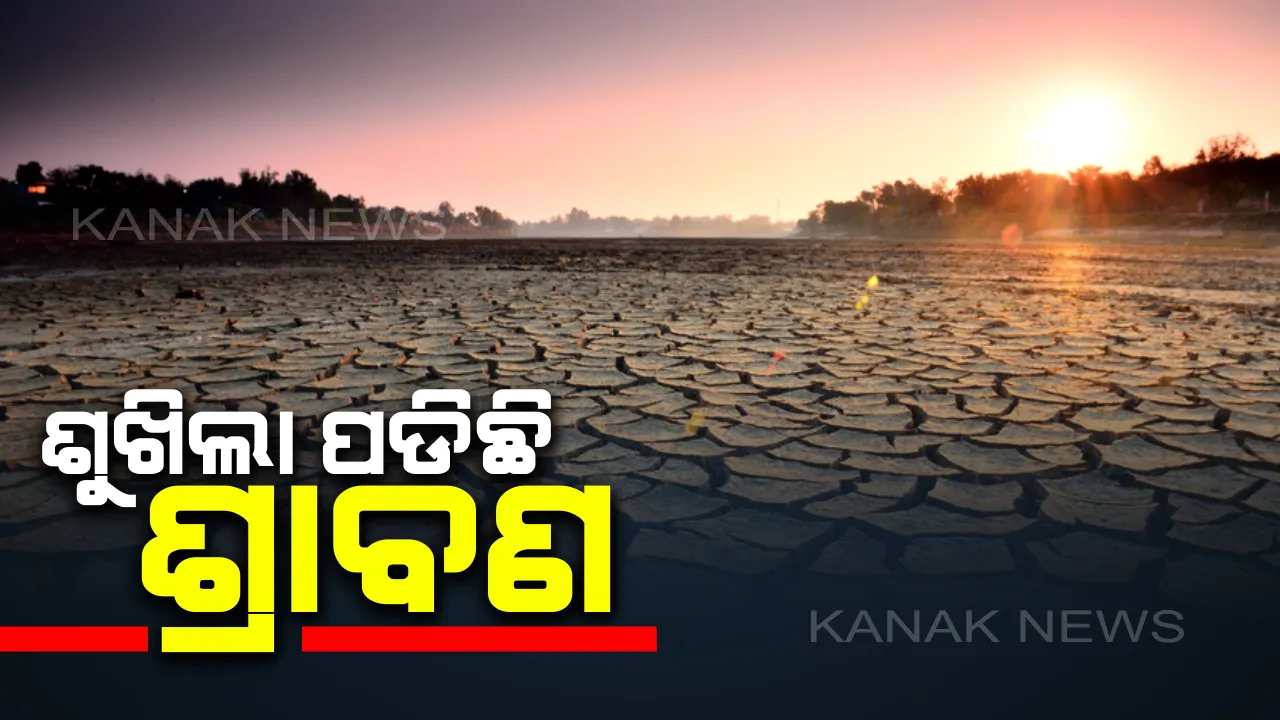  ଶୁଖିଲା ପଡ଼ିଛି ଶ୍ରାବଣ, ଆଗାମୀ ୩ ଦିନଯାଏଁ ନାହିଁ ବର୍ଷା ସମ୍ଭାବନା। ଜୁଲାଇ ଶେଷ ସପ୍ତାହରେ ସୃଷ୍ଟି ହୋଇପାରେ ଲଘୁଚାପ ବଳୟ, ୨୫ ପରେ ବଦଳିପାରେ ପାଗ