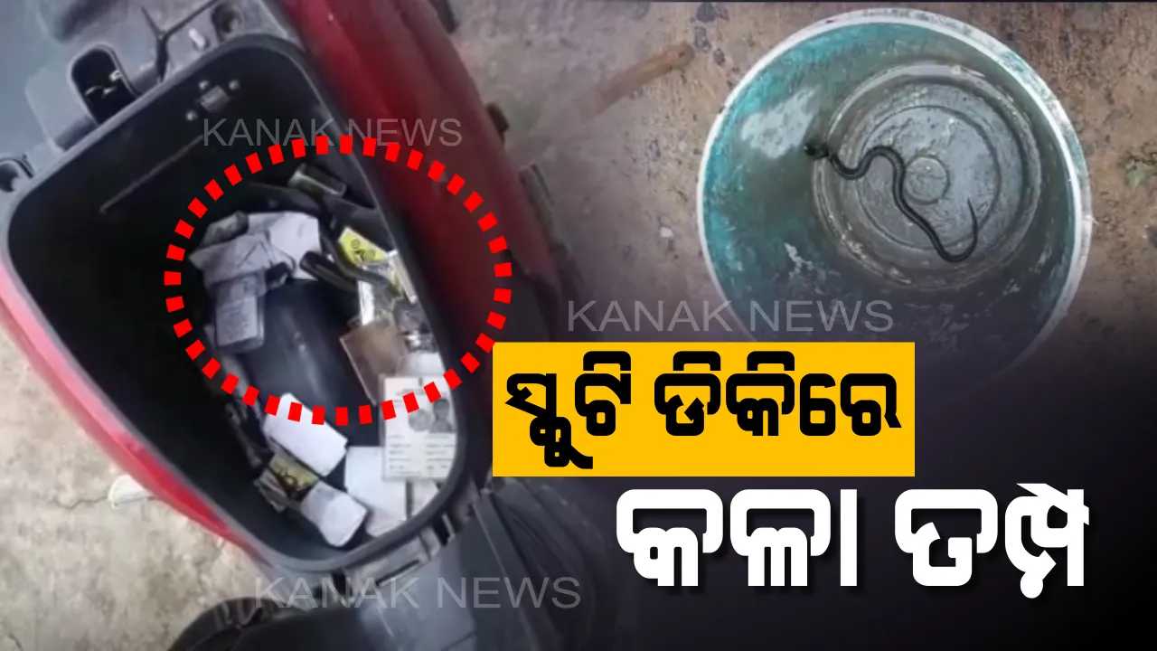  ସ୍କୁଟି ଡିକିରେ କଳା ତମ୍ପ ।ଉଦ୍ଧାର ପରେ ଜଙ୍ଗଲରେ ଛଡାଗଲା, ବର୍ଷାଦିନରେ ଲୋକଙ୍କୁ ସର୍ତକ ରହିବାକୁ କହିଲେ ସ୍ନେକ ହେଲ୍ପ ଲାଇନର ସଦସ୍ୟ ।