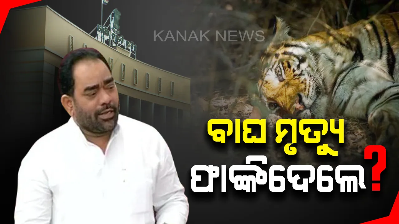  ବିଧାନସଭାରେ ବାଘ ମିଛ ! ୩ବର୍ଷରେ ଶିକାରୀଙ୍କ ହାତରେ ଯାଇନି ବାଘଙ୍କ ଜୀବନ, କେଉଁଠୁ ଆସିଲା ଚିତା ?