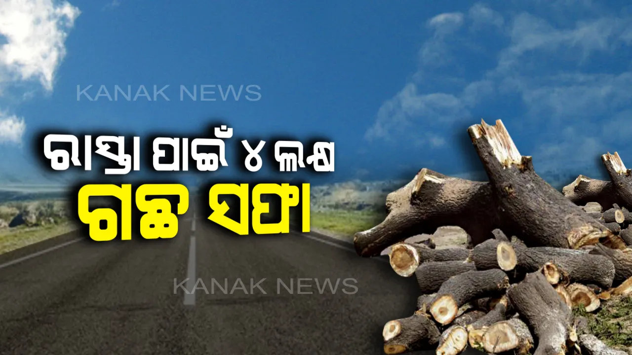  ରାସ୍ତା ବଢିଲା, ଗଛ ଗଡିଲା । ୩ ବର୍ଷରେ କଟିଗଲା ୪ ଲକ୍ଷରୁ ଅଧିକ ଗଛ ।
