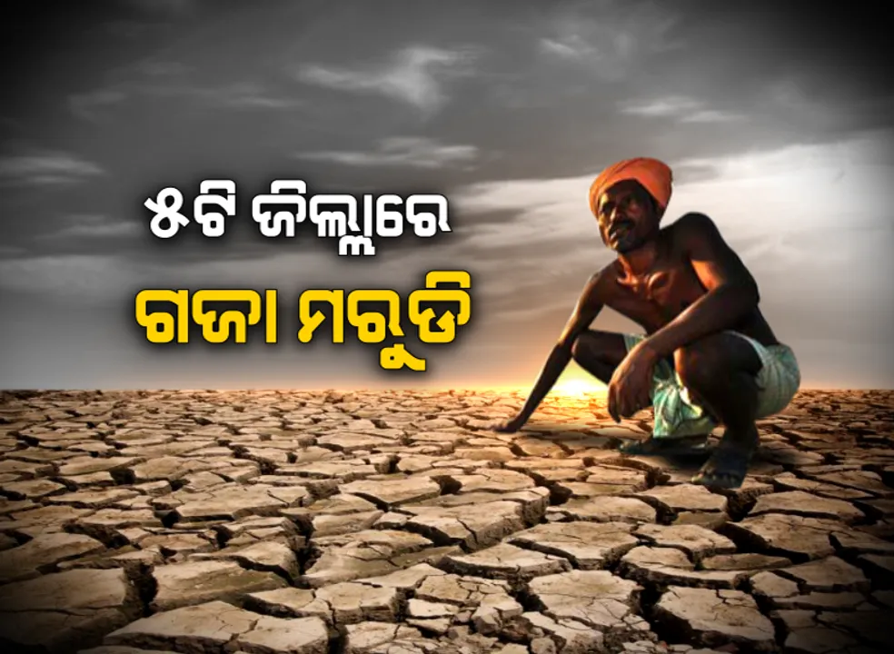  ଶ୍ରାବଣରେ ମାଡି ଆସିଛି ମରୁଡି଼ ! ରାଜ୍ୟର ୫ଟି ଜିଲ୍ଲାରେ ସାଙ୍ଘାତିକ ସ୍ଥିତି, ବର୍ଷା ଅପେକ୍ଷାରେ ଆକାଶକୁ ଚାହିଁଛି ଚାଷୀ