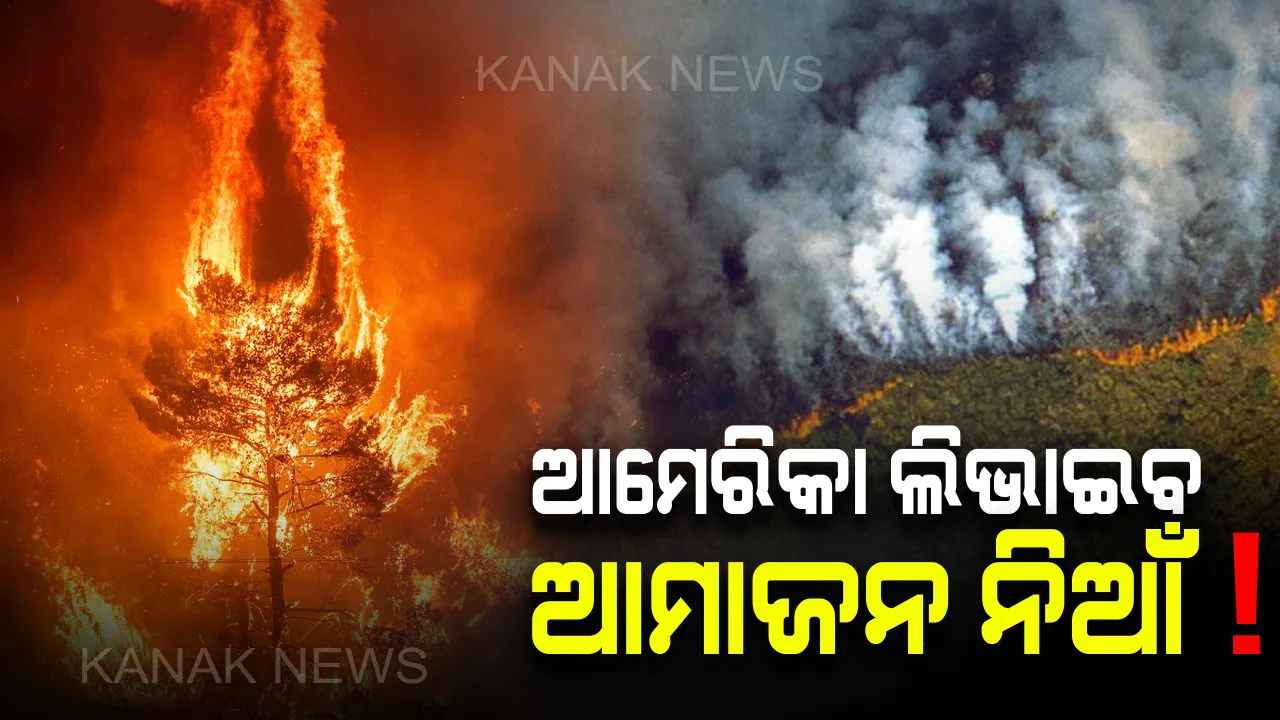  ଥମିବାର ନାଁ ଧରୁନି ଆମାଜନ ଜଙ୍ଗଲ ନିଆଁ : ଆୟତ କରିବାକୁ ସେନା ପଠାଇଲେ ବ୍ରାଜିଲ ରାଷ୍ଟ୍ରପତି, ସହାୟତାର ହାତ ବଢାଇଲା ଆମେରିକା