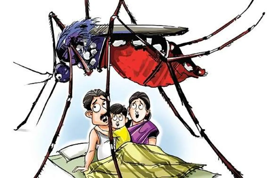  ବର୍ଷାପାଗକୁ , ଅସନା ପରିବେଶ ଆଣୁଛି ମ୍ୟାଲେରିଆ ଜ୍ୱର ! ଜାଣନ୍ତୁ ଏହି ସମୟରେ କ’ଣ ଖାଇବେ ଏବଂ କ’ଣ ନଖାଇବେ ।