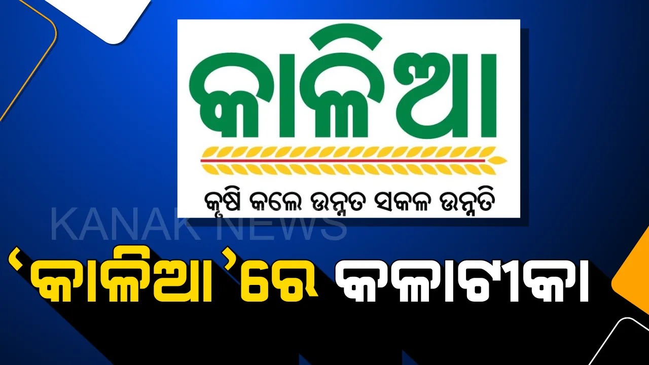  କାଳିଆ ଟଙ୍କା ପାଇଁ କସରତ । ଯାଞ୍ଚ ମଝିରୁ ଆସିଲା ସାଂଘାତିକ ସତ, ଅଯୋଗ୍ୟ ହିତାଧିକାରୀଙ୍କ ଆକାଉଣ୍ଟକୁ ଯାଇଛି ୧୩୩ କୋଟି, ଏବେ ସରକାର ଫେରାଇ ଆଣିପାରିବେ ତ?