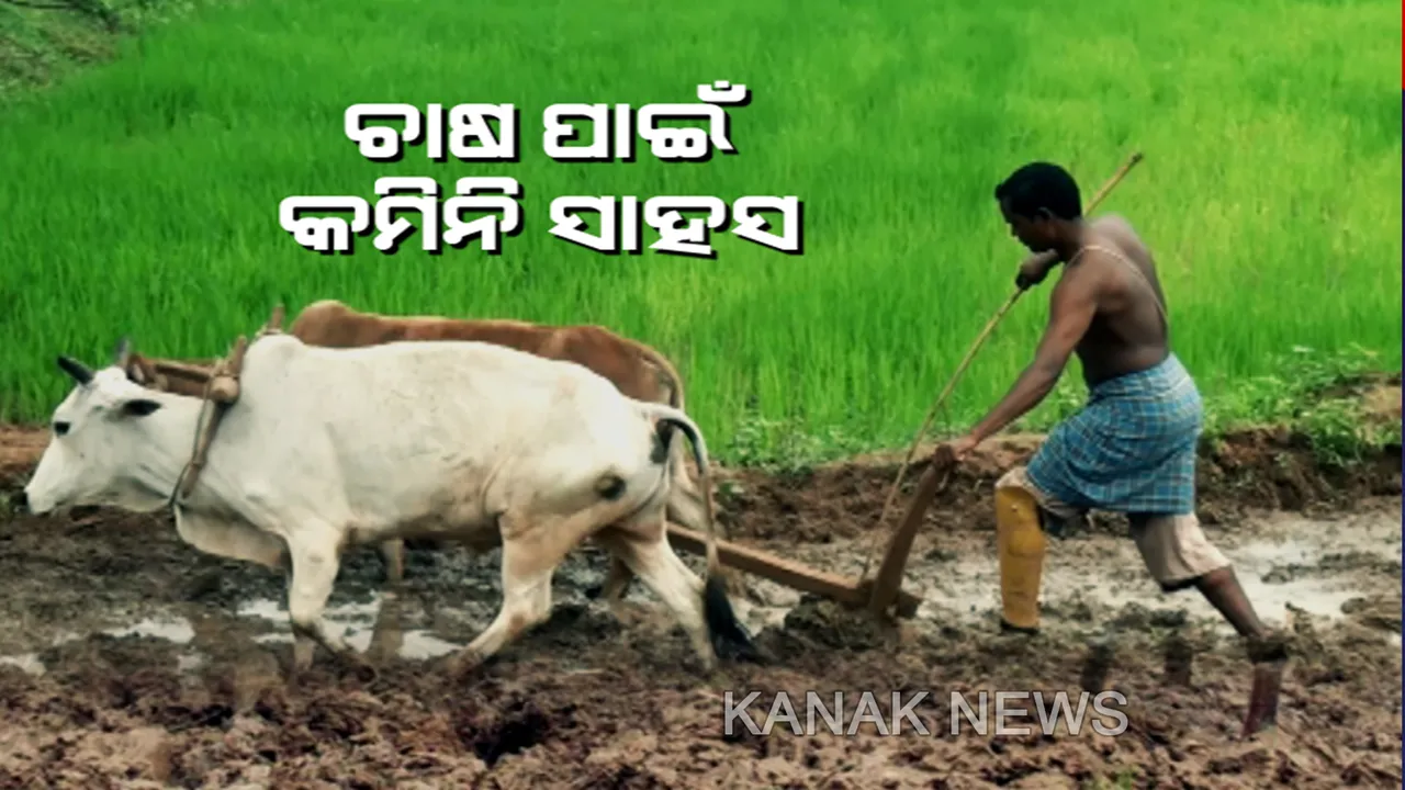  ସଡକ ଦୁର୍ଘଟଣାରେ ଗୋଟିଏ ଗୋଡ ହରାଇ ବି ଭାଙ୍ଗି ପଡିନାହାନ୍ତି ସାହସୀ ଚାଷୀ ସନା । ଚାଷ କରି ଅନ୍ୟ ମାନଙ୍କ ପାଇଁ ପାଲଟିଛନ୍ତି ପ୍ରେରଣା ।