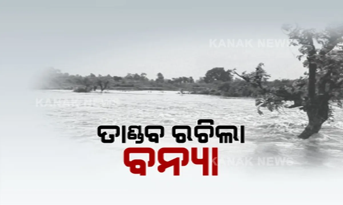  କଣାସରେ ବନ୍ୟା ! ୩୦ ଗାଁ ଲୋକେ ଜଳବନ୍ଦୀ, ଭୋକ ଉପାସରେ ପଡିରହିଛନ୍ତି ଲୋକେ