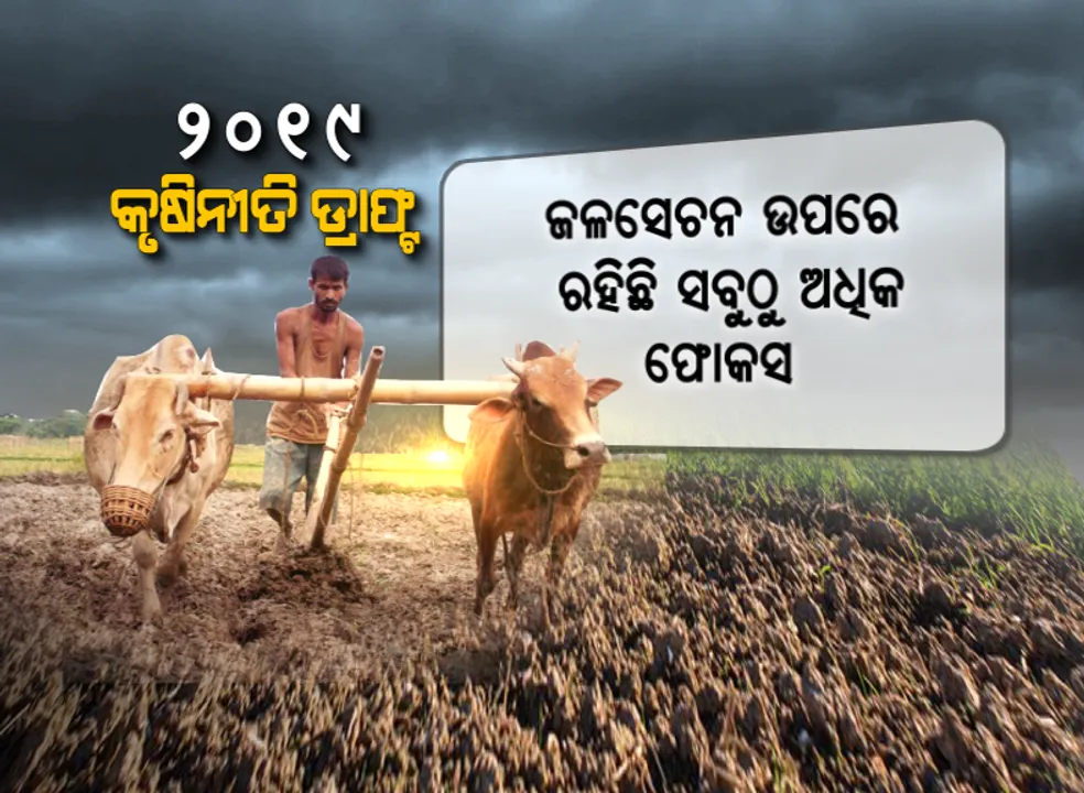  ଜାରି ରହିବ କାଳିଆ କୃପା : ନୂଆ କୃଷି ନୀତି ଚିଠା ପ୍ରସ୍ତାବର ଫୋକସରେ କାଳିଆ ଯୋଜନା ଓ ଚାଷୀଙ୍କ ଆୟ ବୃଦ୍ଧି,ରିପୋର୍ଟ କହିଲା ବଢୁଛନ୍ତି ଭାଗଚାଷୀ, କମୁଛି ଚାଷ ଜମି