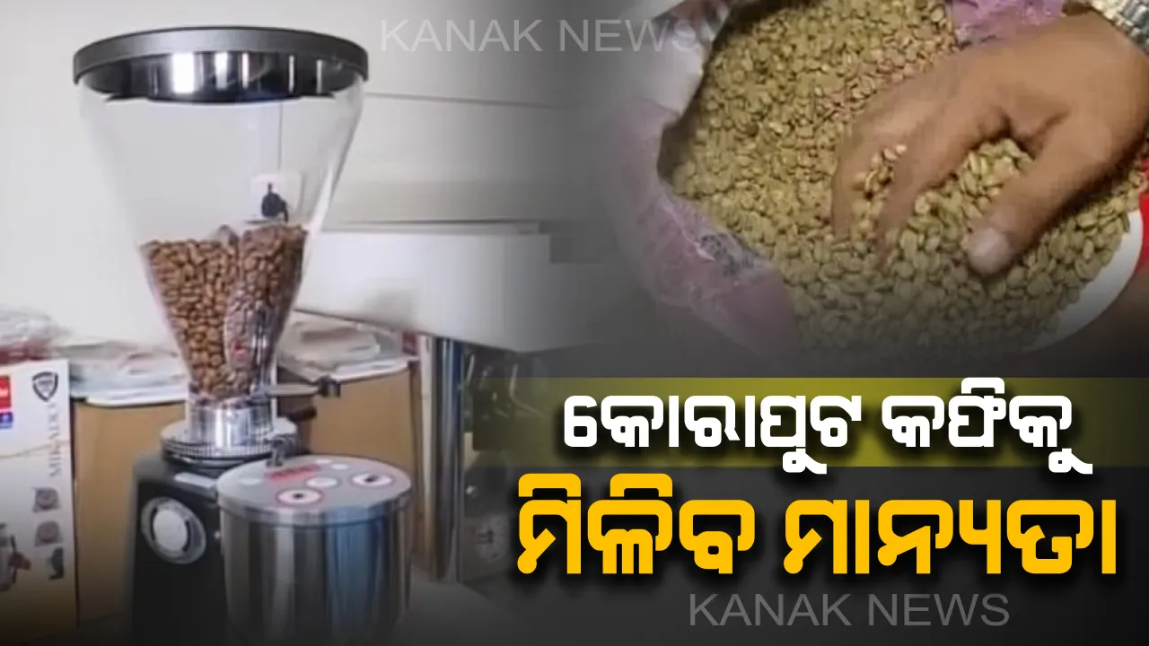  କୋରାପୁଟ କଫିକୁ ମିଳିବ ସ୍ୱତନ୍ତ୍ର ମାନ୍ୟତା : ଖୋଲିବ ରାଜ୍ୟର ପ୍ରଥମ ପ୍ରକ୍ରିୟାକରଣ କେନ୍ଦ୍ର, ଜିଲ୍ଲାର ୭ହଜାର ଏକର ଜମିରେ କରାଯାଉଛି ଚାଷ      