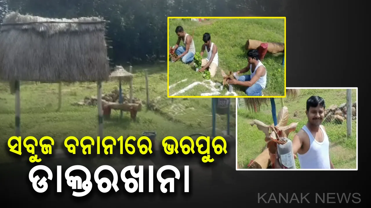  ବର୍ଜ୍ୟବସ୍ତୁରେ ତିଆରି ସୁନ୍ଦର ଉଦ୍ୟାନ, ସବୁଜ ବନାନୀରେ ଭରପୁର ସରକାରୀ ଡାକ୍ତରଖାନା : ଫାର୍ମାସିଷ୍ଟଙ୍କ ଉଦ୍ୟମରେ ମନୋରମ ହୋଇପାରିଛି କନ୍ଧମାଳର ସୁଡ଼୍ରା ପ୍ରାଥମିକ ସ୍ୱାସ୍ଥ୍ୟକେନ୍ଦ୍ର