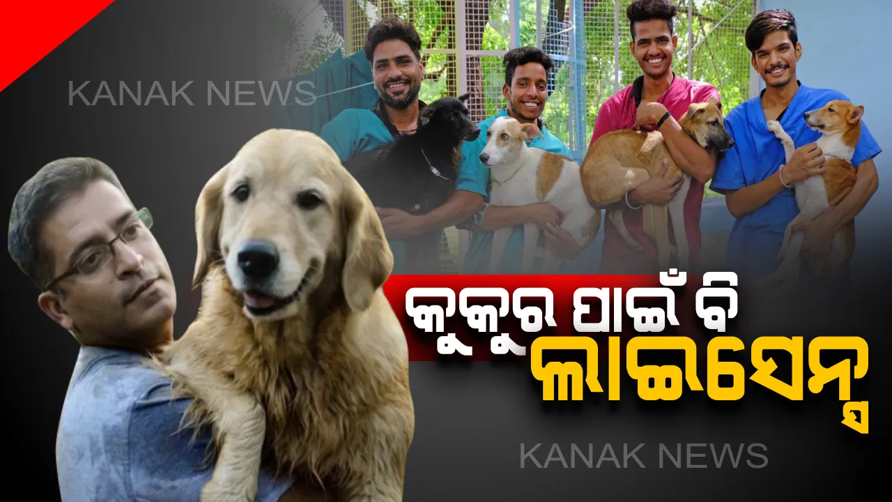  କୁକୁର ସୌଖିନ ମଣିଷ ଟିକେ ଧ୍ୟାନ ଦିଅନ୍ତୁ ... ଏବେ ଘରେ କୁକୁର ପାଳିଲେ ଲାଗିବ ଜରିମାନା ! ବିନା ଲାଇସେନ୍ସରେ ଆଉ ଘରେ ରଖିପାରିବେନି କୁକୁର । 