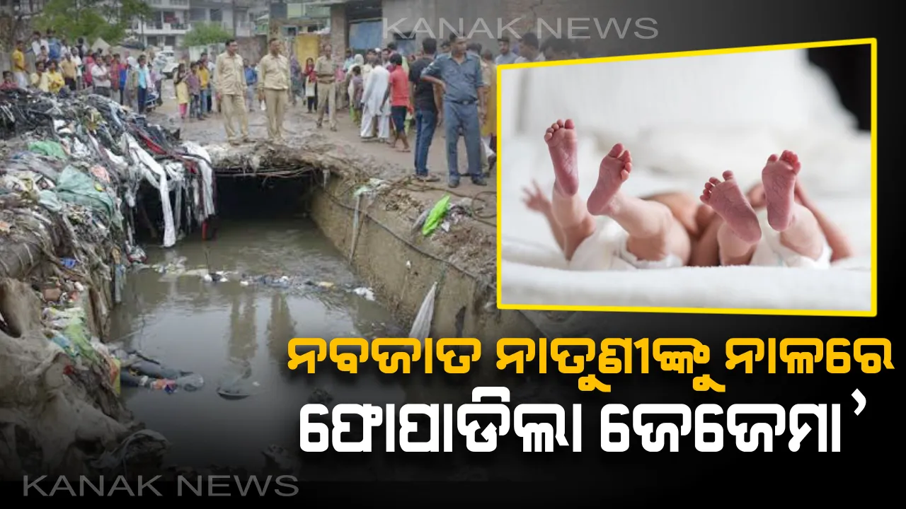  ଅଲୋଡା ହେଲା କନ୍ୟାରତ୍ନ ! ନବଜାତ ନାତୁଣୀଙ୍କ ଜନ୍ମକୁ ଦୁଇଘଣ୍ଟା ପୁରିନି ଡାକ୍ତରଖାନାରୁ ଉଠାଇ ନାଳରେ ଫୋପାଡିଲା ଜେଜେମା’ । 