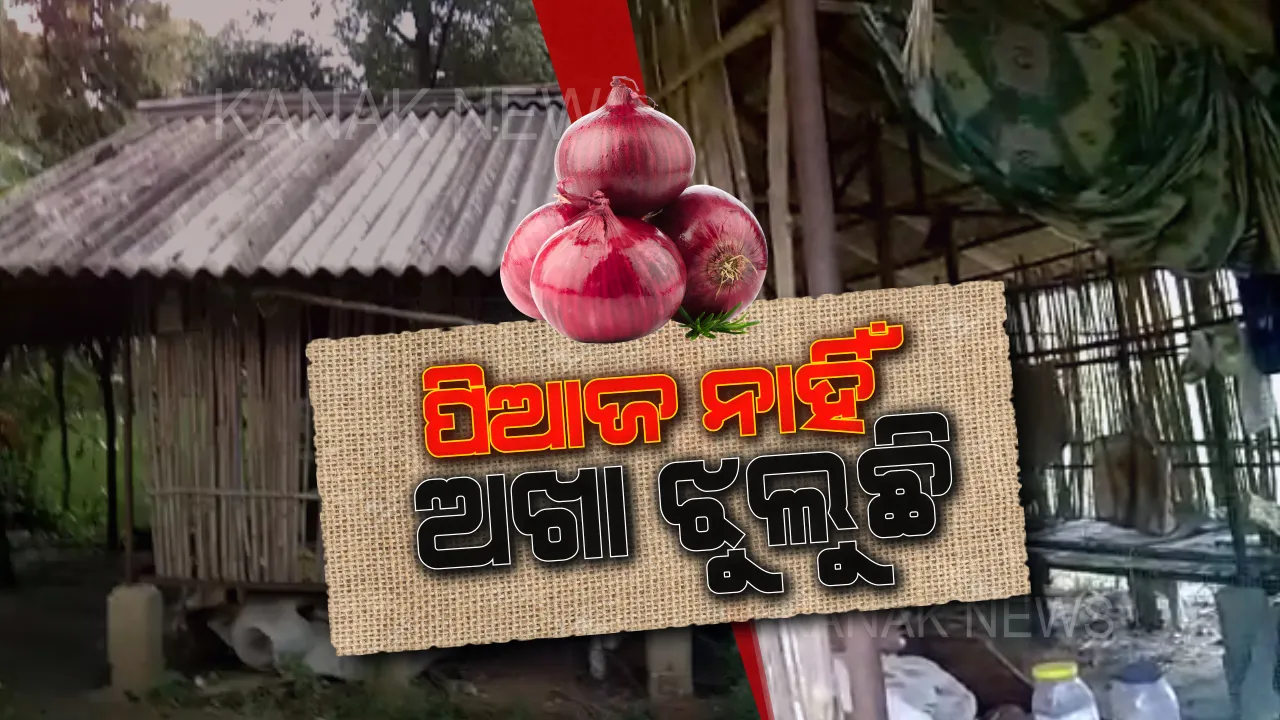  ସରକାରଙ୍କ ପିଆଜ ମିଶନ ଭେଳିକି । ଗୋଦାମରେ ବୁଲୁଛନ୍ତି ଗୋରୁଗାଈ, ପିଆଜ ବଦଳରେ ଝୁଲୁଛି ଅଖା । 
