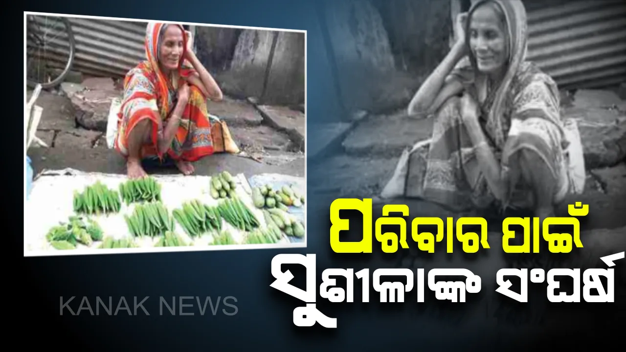  ୭୦ ବର୍ଷୀୟା ପରିବା ଚାଷୀ ସୁଶୀଳା : ପରିବା ବିକ୍ରି କରି ପାଳୁଛନ୍ତି ଚାରି ପ୍ରାଣୀ କୁଟୁମ୍ବ, ଦୟାର ପାତ୍ର ନହୋଇ ବୟସର ଅପରାହ୍ନରେ ବି ଜାରି ରଖିଛନ୍ତି ସଂଘର୍ଷ