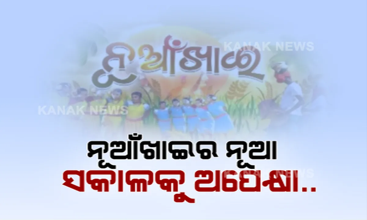  ରାତି ପାହିଲେ ନୂଆଁଖାଇ । ଉତ୍ସବମୁଖର ପଶ୍ଚିମ ଓଡିଶା, କଳା ସଂସ୍କୃତିକୁ ସାରା ଓଡିଶା ସହ ପରିଚିତ କରିବା ପାଇଁ କନକ ନ୍ୟୁଜର ନିଆରା ପ୍ରୟାସ ।