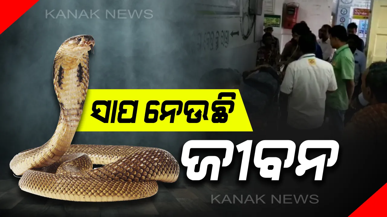  ସାପ ନେଉଛି ଜୀବନ : କନ୍ଧମାଳ ବାଲିଗୁଡାରେ ସକାଳୁ ସକାଳୁ ସାପ କାମୁଡାରେ ମା’ ପୁଅଙ୍କର ମୃତ୍ୟୁ 