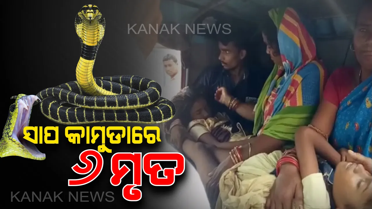  ଗୋଟିଏ ଦିନରେ ସର୍ପାଘାତରେ ୬ ମୃତ: ଅନୁଗୁଳରେ ସାପ କାମୁଡାରେ ଚାଲିଗଲା ଯାଆଁଳ ଭଉଣୀଙ୍କ ଜୀବନ