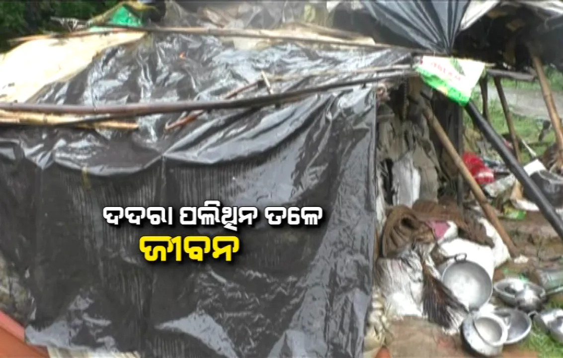  ଦଦରା ପଲିଥିନ ତଳେ ଜୀବନ । କୁଡିଆ ଭିତରେ ୫ ପ୍ରାଣୀ କୁଟୁମ୍ବଙ୍କ ବିତୁଛି ଦିନ । ପ୍ରଶାସନର ଅଣଦେଖା ପାଇଁ ହସ୍ତସନ୍ତ ହେଉଛି ପରିବାର ।