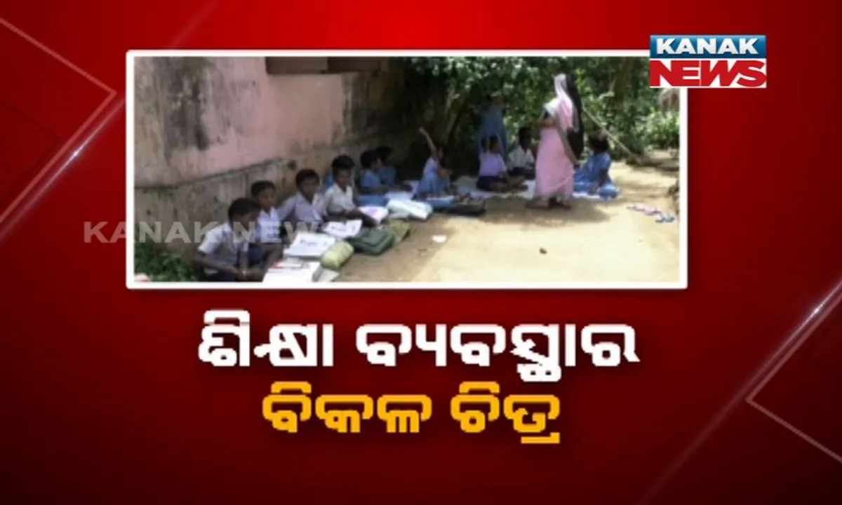  ସରକାରଙ୍କ ନଜର ପଡିବ କେବେ? କେତେଦିନ ଗଛ ତଳେ ଗଢା ହେବ କୁନି କୁନି ପିଲାଙ୍କ ଭବିଷ୍ୟତ
