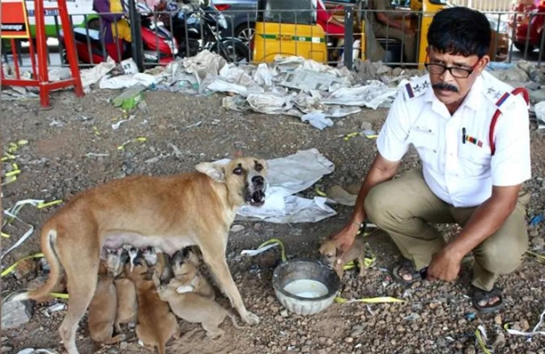  image courtesy - newindianexpress.com 
