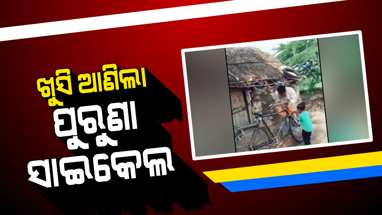  ପୁରୁଣା ସାଇକେଲ ଆଣିଲା ଅସରନ୍ତି ଖୁସି । ଘରକୁ ସାଇକେଲ ଆସିବା ପରେ ନାଚି ନାଚି ଖୁସି ମନାଇଲା କୁନି ଝିଅ, ସୋସିଆଲ ମିଡିଆରେ ଭାଇରାଲ ହେଲା ଭିଡିଓ ।