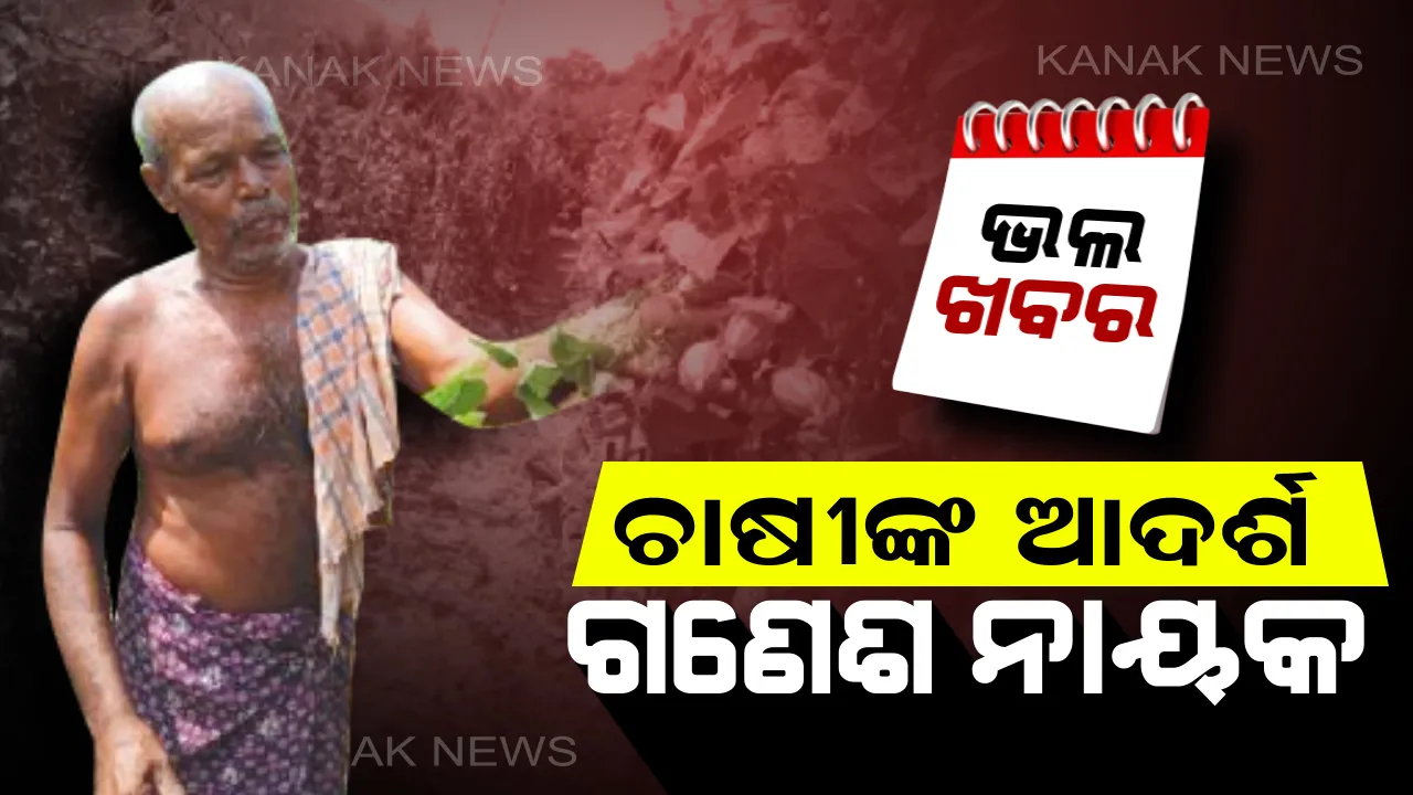  ଗାଁ ପାଇଁ ଗୌରବ ଗଣେଶ...ସରକାରୀ ଚାକିରି ଛାଡି କରୁଛନ୍ତି ଚାଷ...୧୦ ଏକର ଟାଙ୍ଗରା ଭୂଇଁରେ ଫଳାଉଛନ୍ତି ସୁନାର ଫସଲ